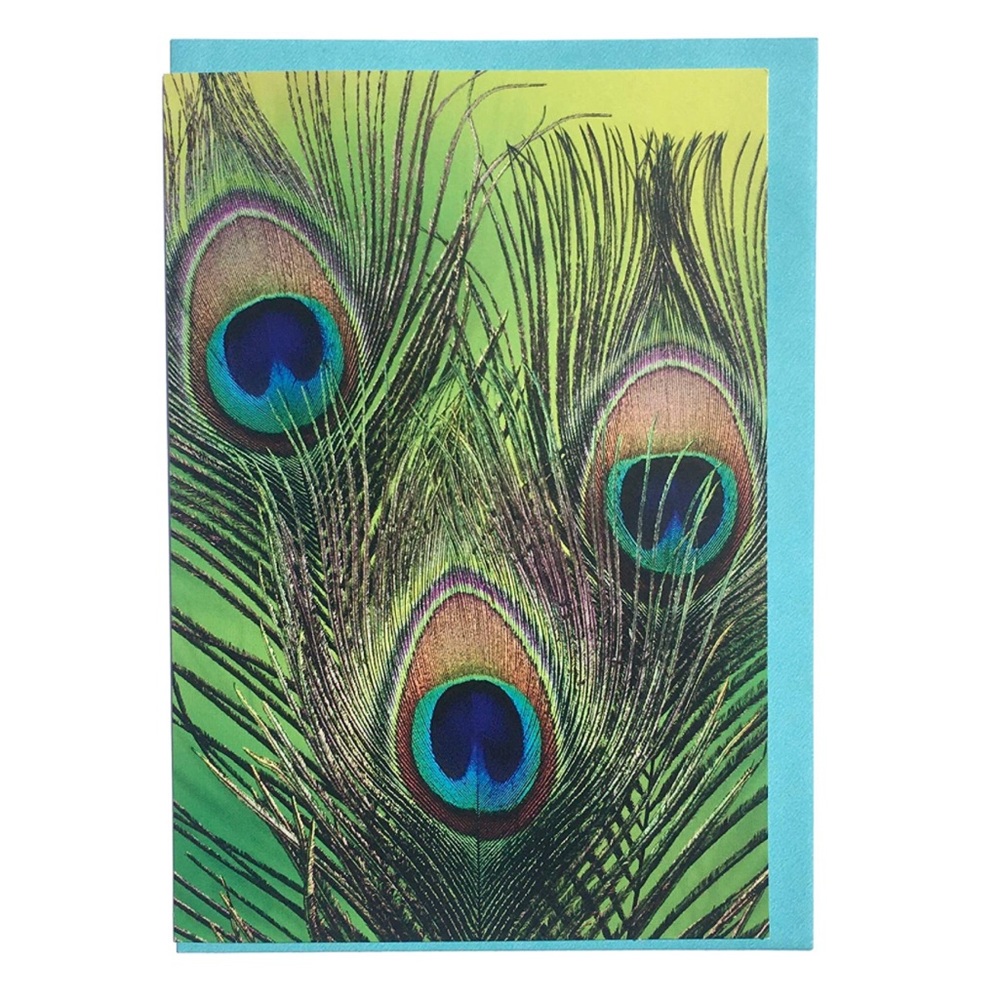 Hallmark Peacock Feather Single (1) Blank Note Card (LNL2128)